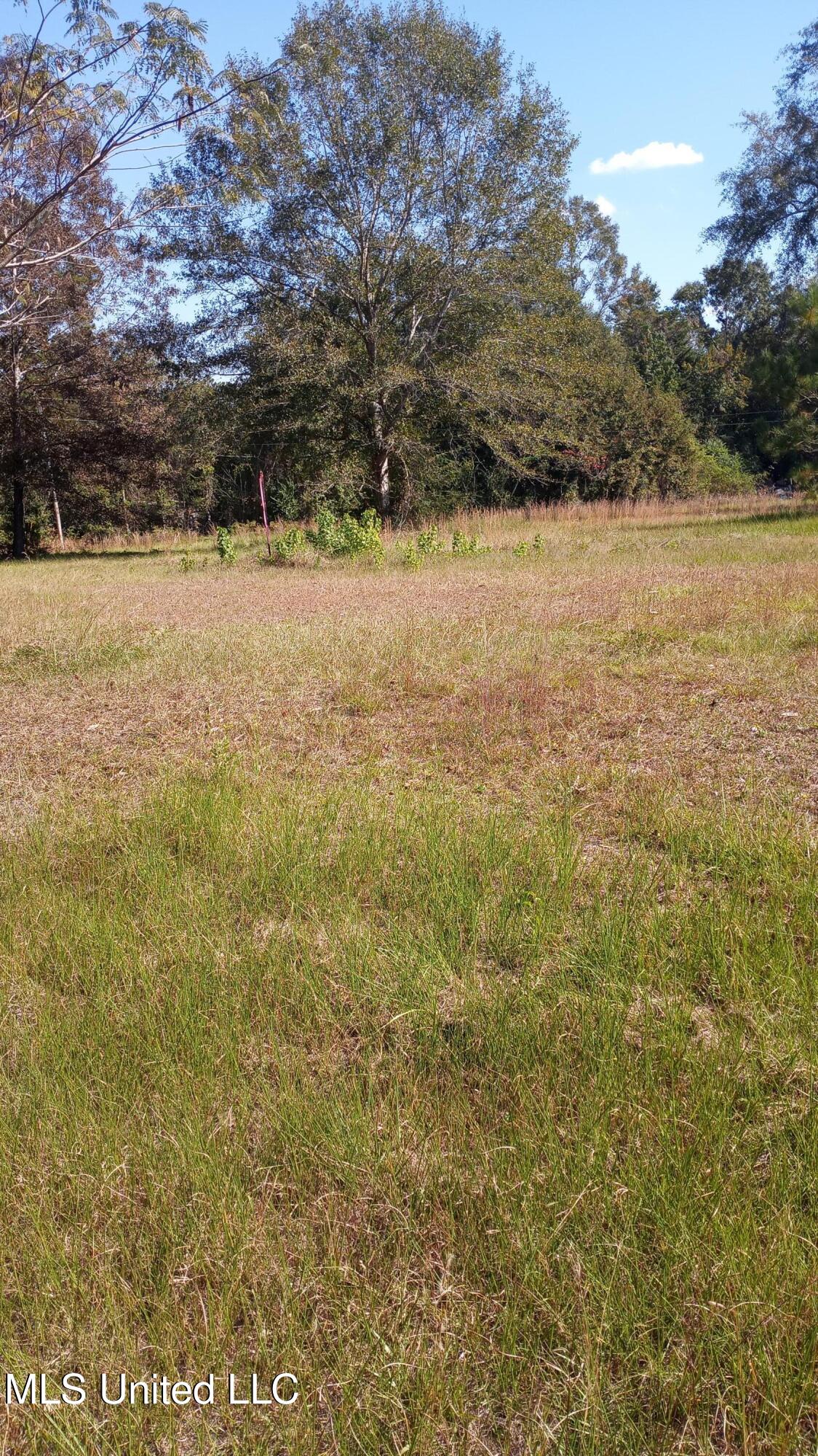 Nsn Mount Rose Circle McLain, MS 39456 - Photo 3 of 4 20241027_133333