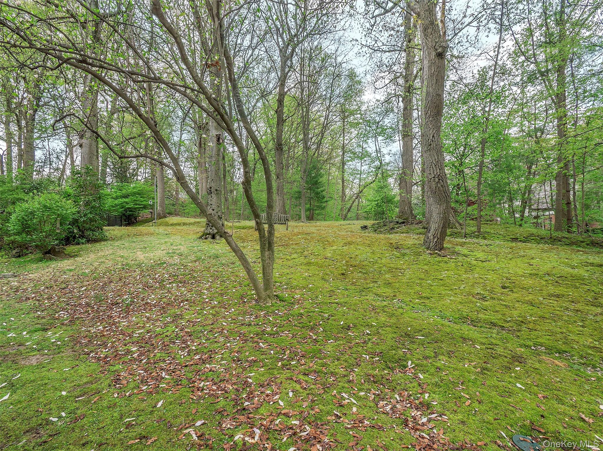 7 SE Road Sands Point, NY 11050 - Photo 30 of 32 Gallery Image 30