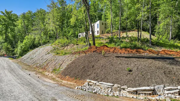 a view of a yard with plants