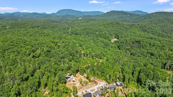 a view of a lush green forest with a mountain in the background