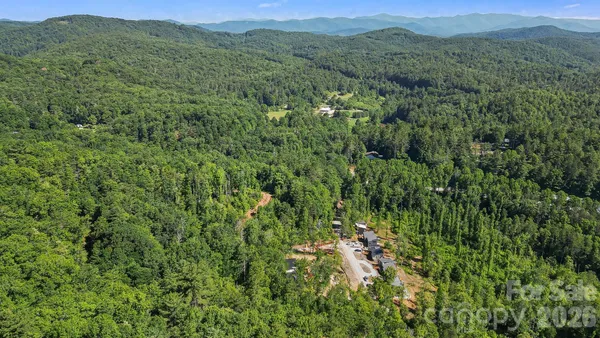 a view of a lush green forest with trees in the background