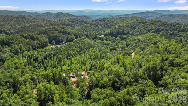 a view of a lush green forest with lush green forest