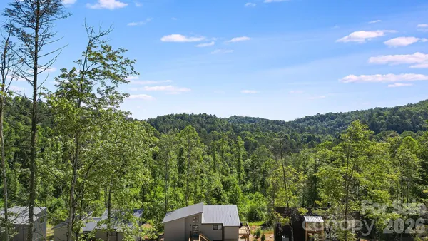 a view of a big yard with plants and a large tree