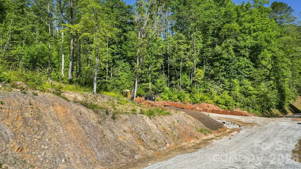 a view of a road with plants and next to a road