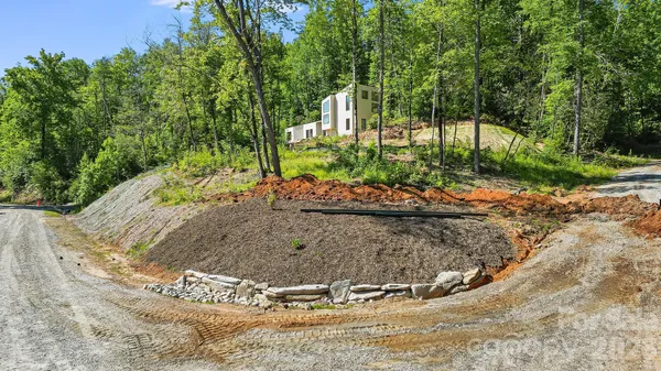 a view of a garden with plants and trees