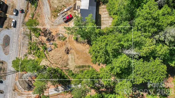 a view of a lush green forest with trees in the background