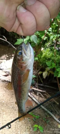 a view of ocean view