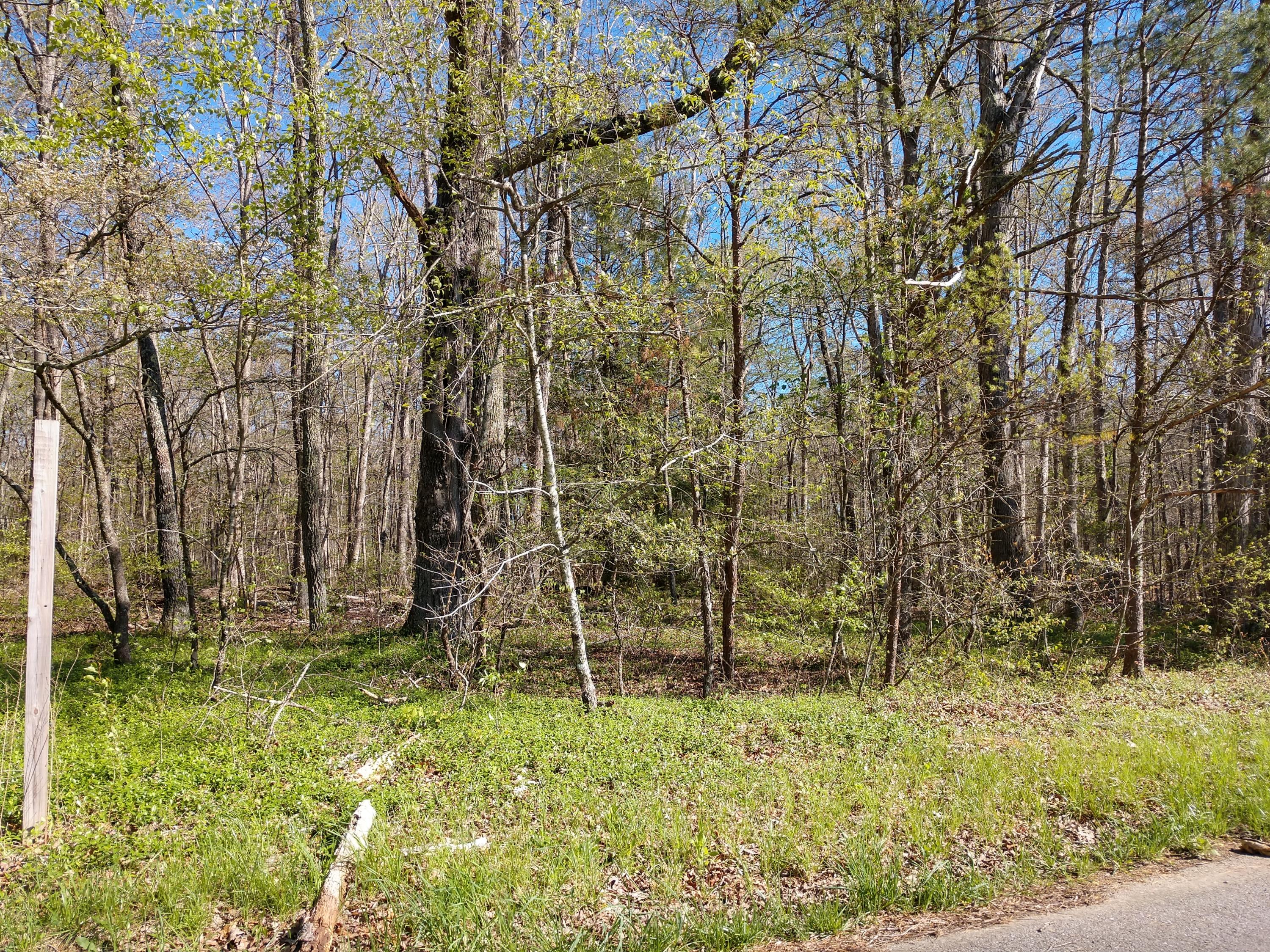 3 Sims Road Soddy Daisy, TN 37379 - Photo 2 of 4 IMG_20190415_170101430_HDR