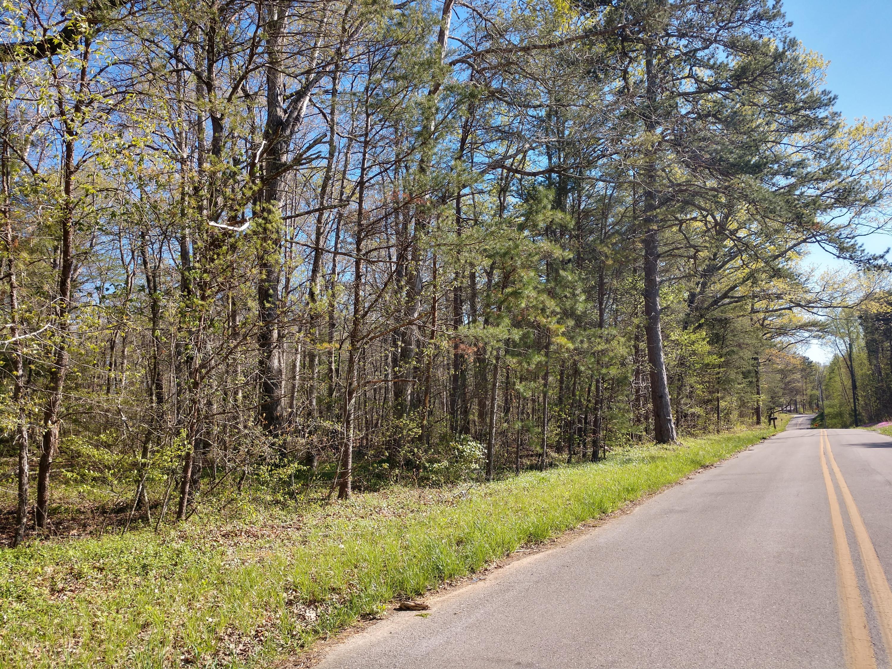 3 Sims Road Soddy Daisy, TN 37379 - Photo 3 of 4 IMG_20190415_170105328_HDR