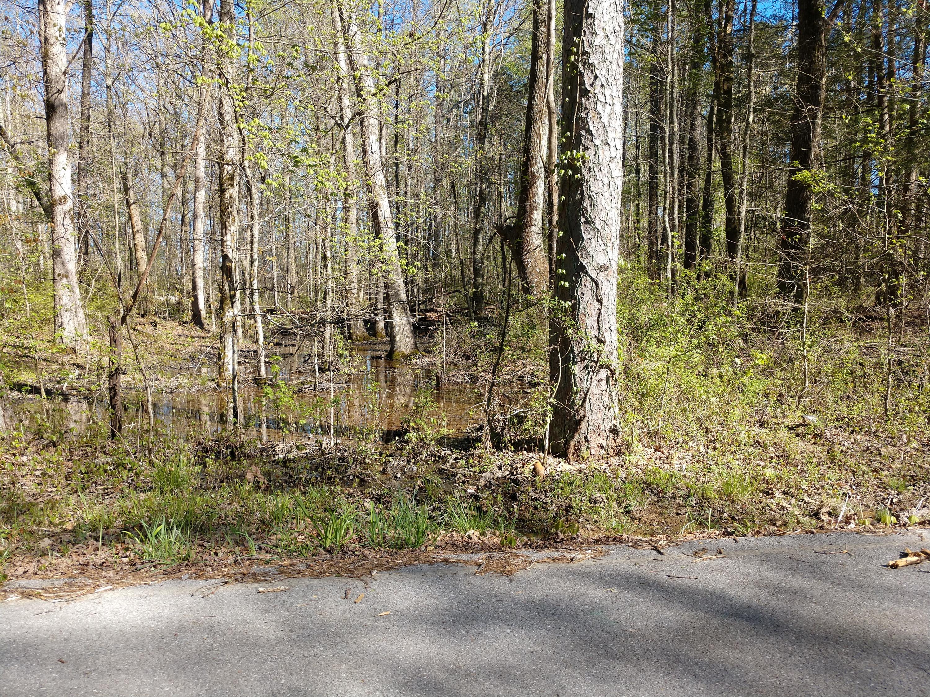 3 Sims Road Soddy Daisy, TN 37379 - Photo 4 of 4 IMG_20190415_170146951