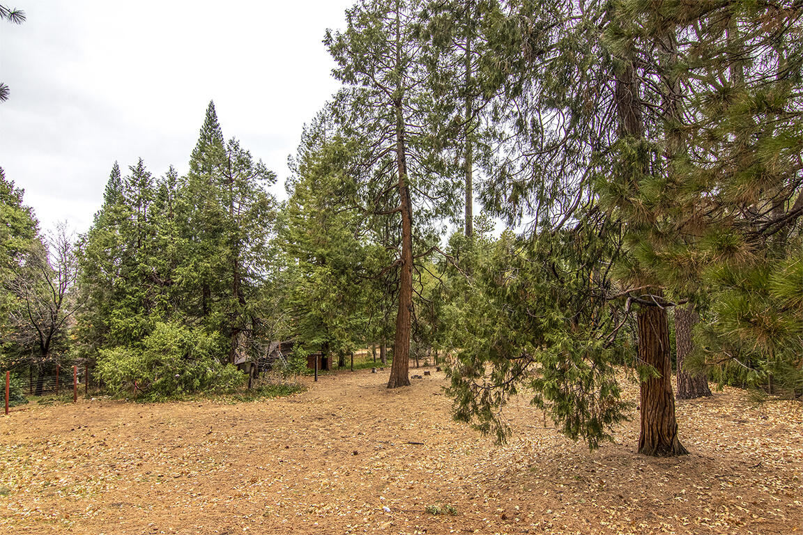 25455 Lodge Road Idyllwild, CA 92549 - Photo 49 of 95 IMG_6371