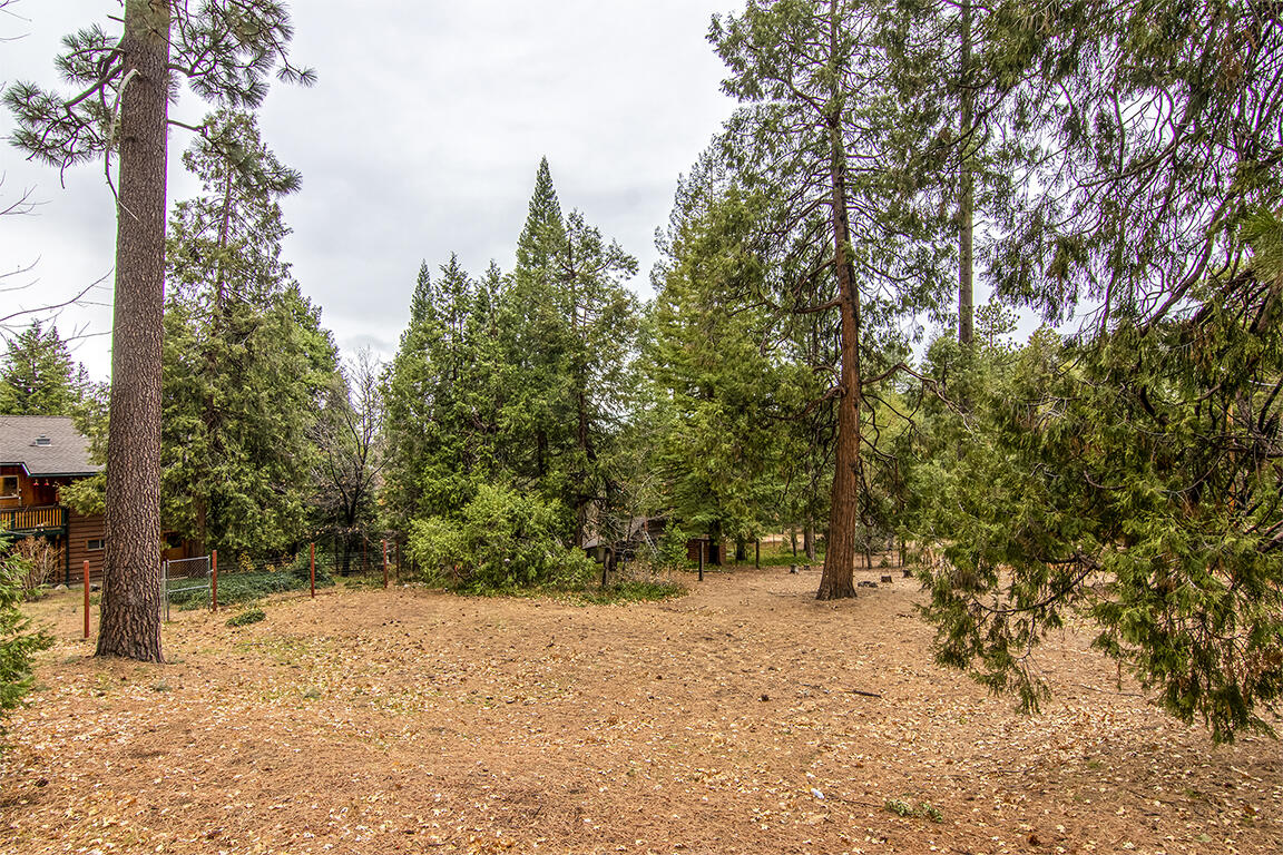 25455 Lodge Road Idyllwild, CA 92549 - Photo 50 of 95 a view of outdoor space and yard