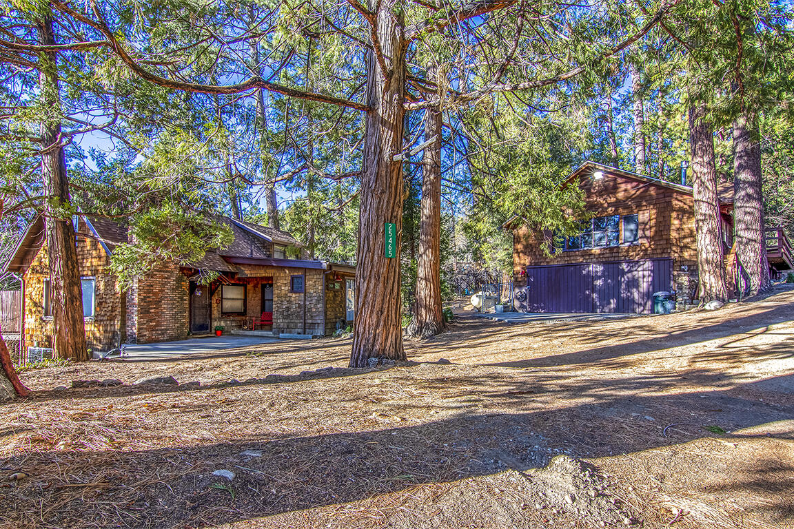 25455 Lodge Road Idyllwild, CA 92549 - Photo 95 of 95 a front view of a house with a tree