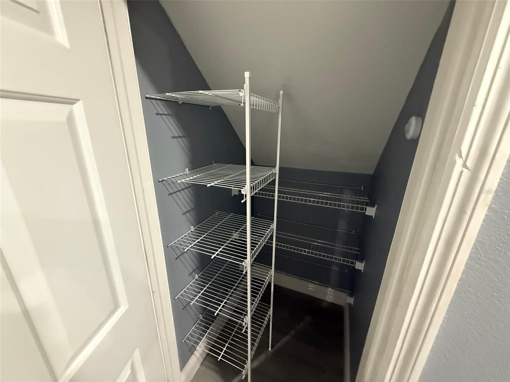 1325 Lyonshire Drive Wesley Chapel, FL 33543 - Photo 5 of 20 a walk in closet