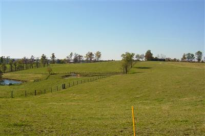 1261 Ramey Road Sharpsburg, KY 40374 - Photo 55 of 65 Photo 56