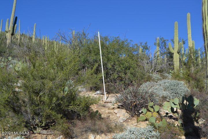 12265 East Coronado Road, Unit 46 Tucson, AZ 85749 - Photo 36 of 41