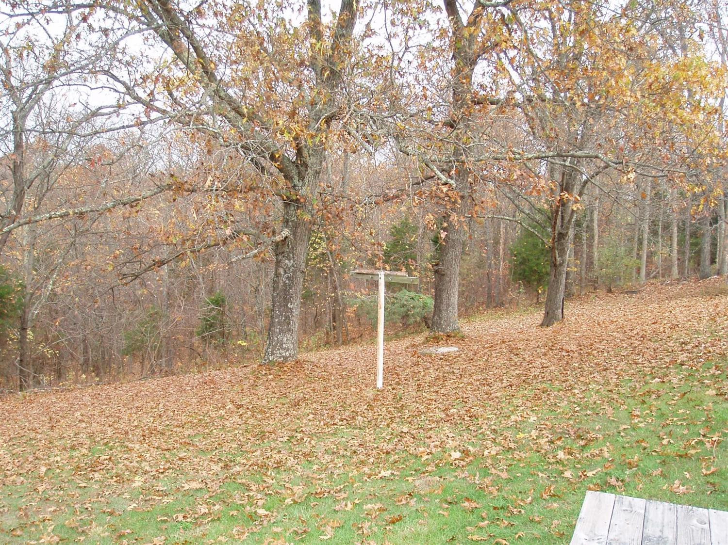 1460 Kentontown Road Mount Olivet, KY 41064 - Photo 5 of 7 Gallery Image 5
