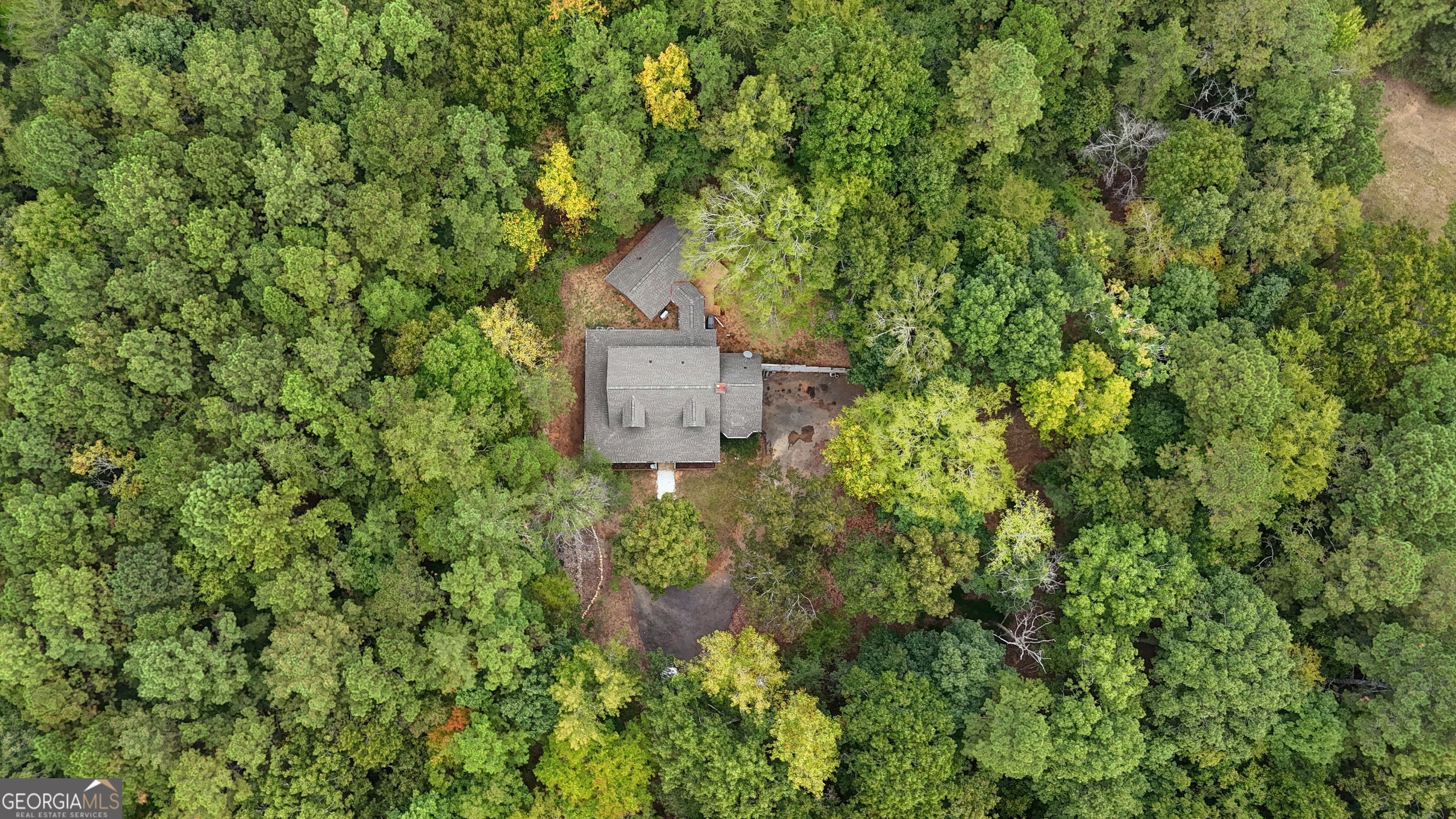 637 Wayside Road Rome, GA 30161 - Photo 36 of 40 a picture of a tree in front of a house