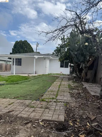 a front view of a house with a yard and trees