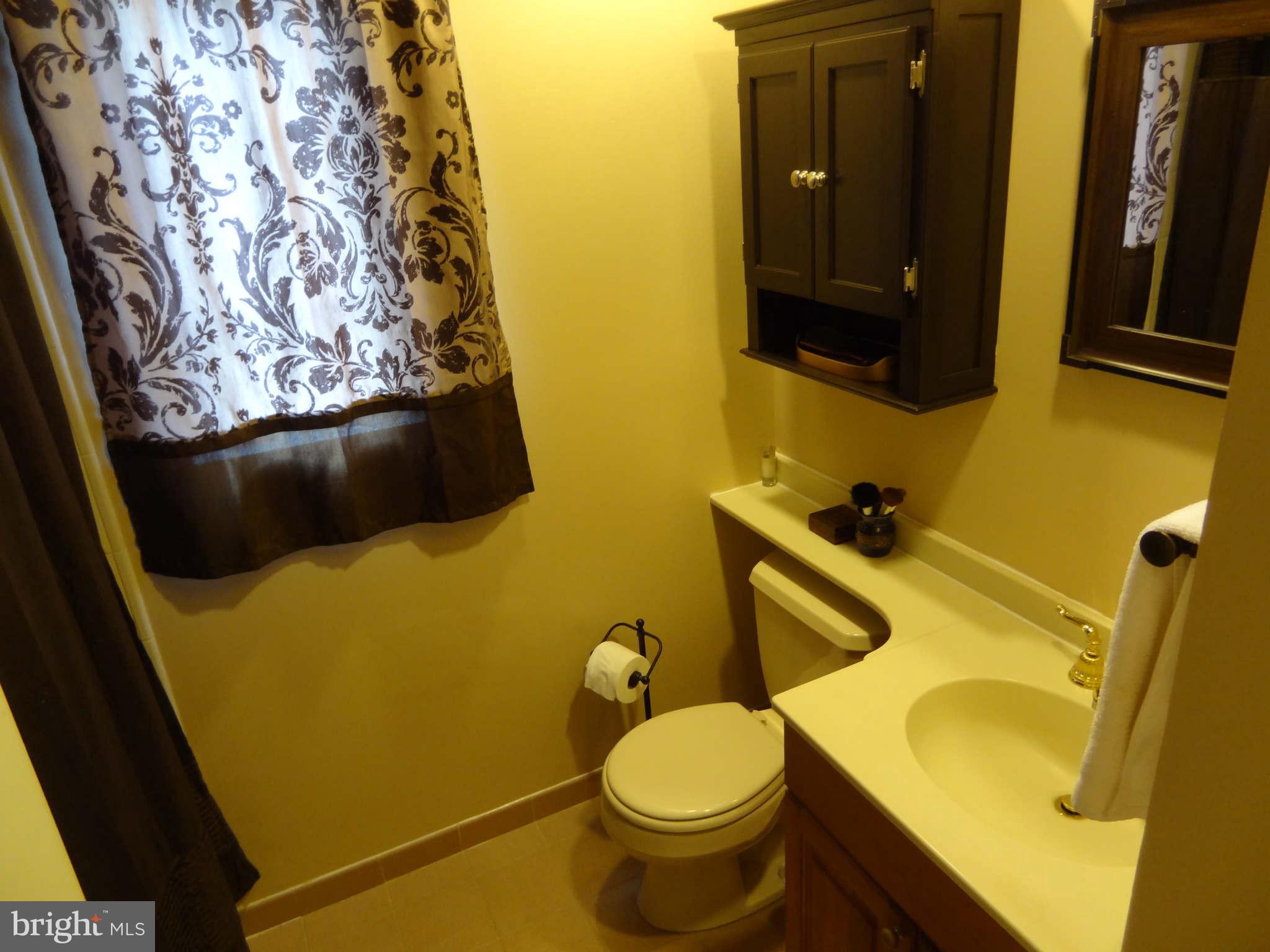 5301 Garner Street Springfield, VA 22151 - Photo 22 of 30 Bath