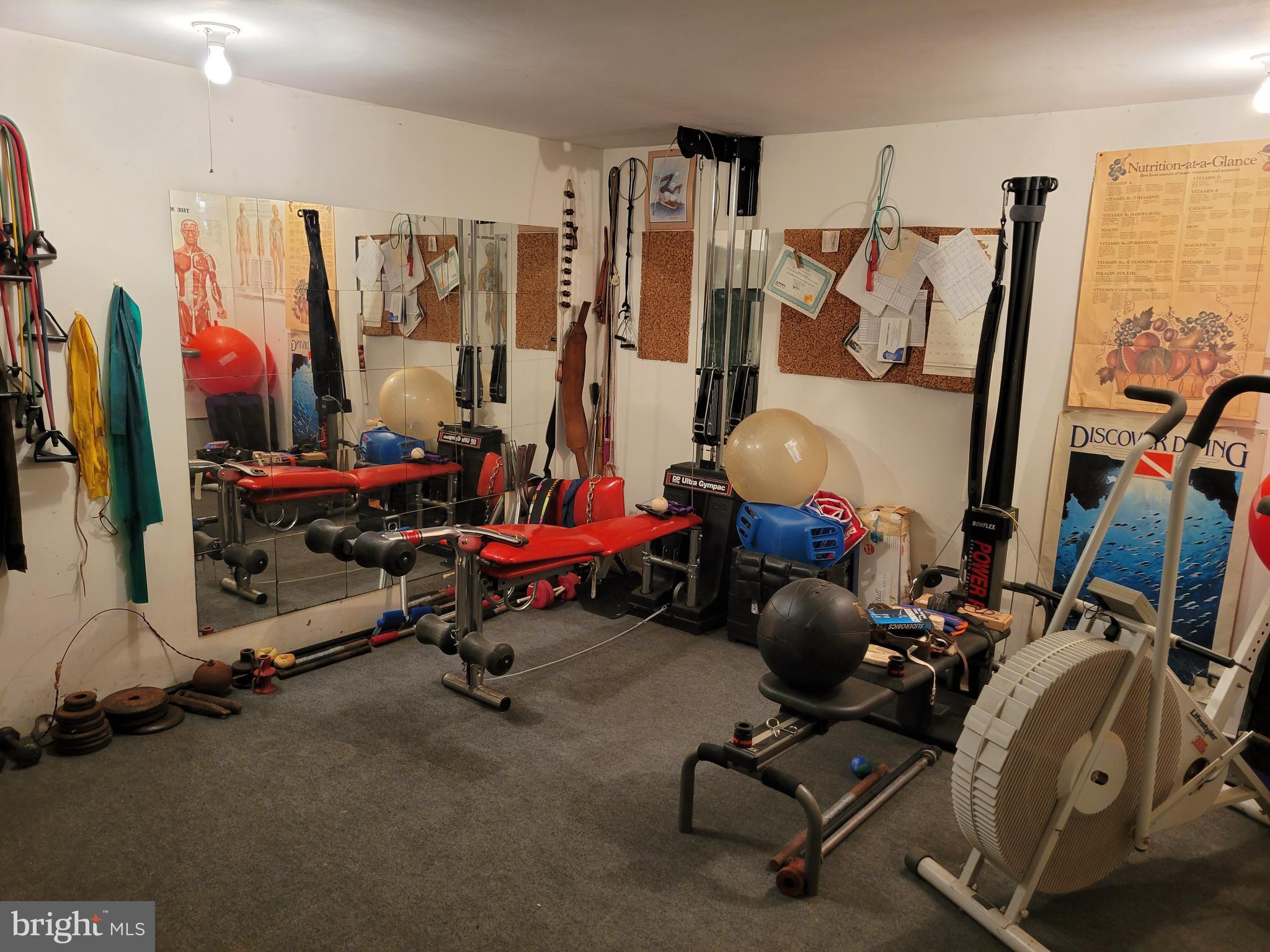 7430 Round Hill Road Frederick, MD 21702 - Photo 49 of 50 Exercise and training room right at home