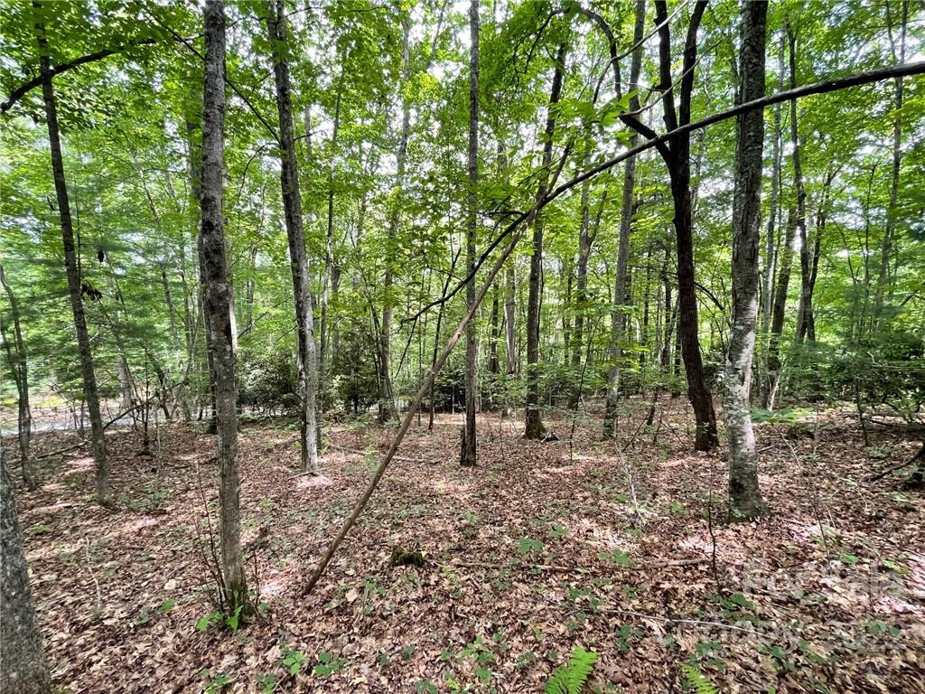 Lot P Ridgemont Road, Unit P19 Hendersonville, NC 28739 - Photo 2 of 9 a view of outdoor space with lots of trees