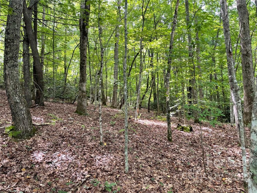 Lot P Ridgemont Road, Unit P19 Hendersonville, NC 28739 - Photo 3 of 9 a view of a forest with trees in the background
