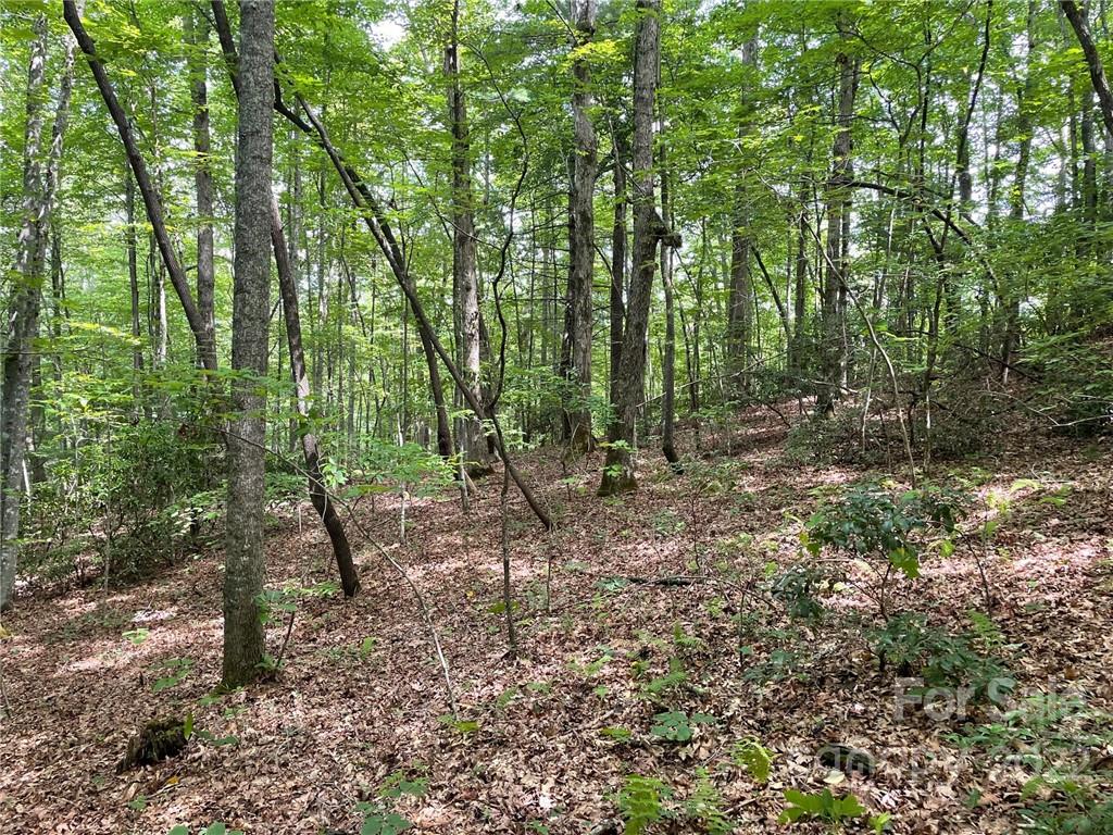 Lot P Ridgemont Road, Unit P19 Hendersonville, NC 28739 - Photo 4 of 9 a backyard of a house with lots of green space