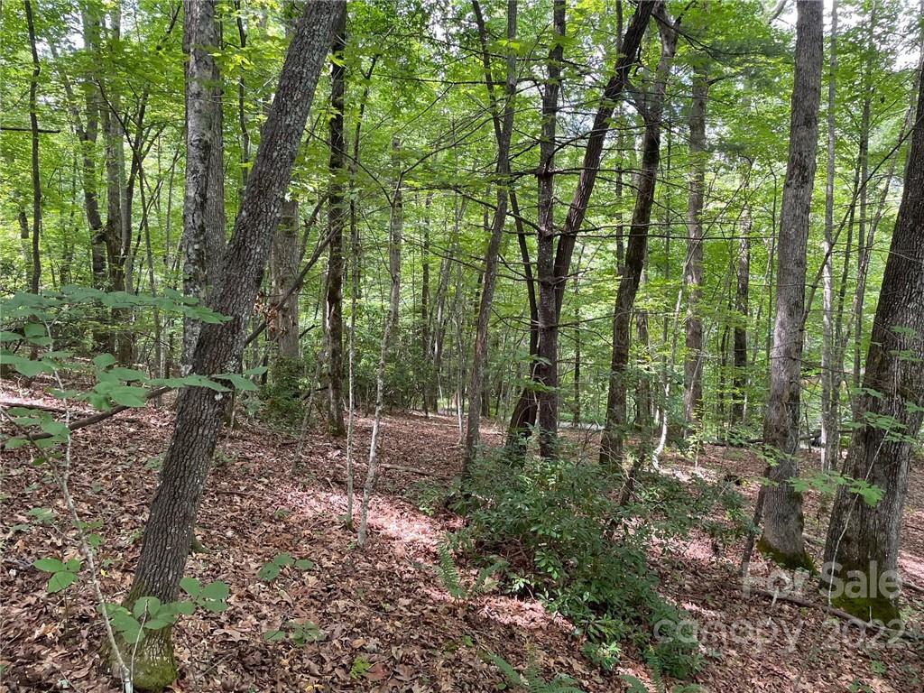 Lot P Ridgemont Road, Unit P19 Hendersonville, NC 28739 - Photo 5 of 9 a view of outdoor space and trees