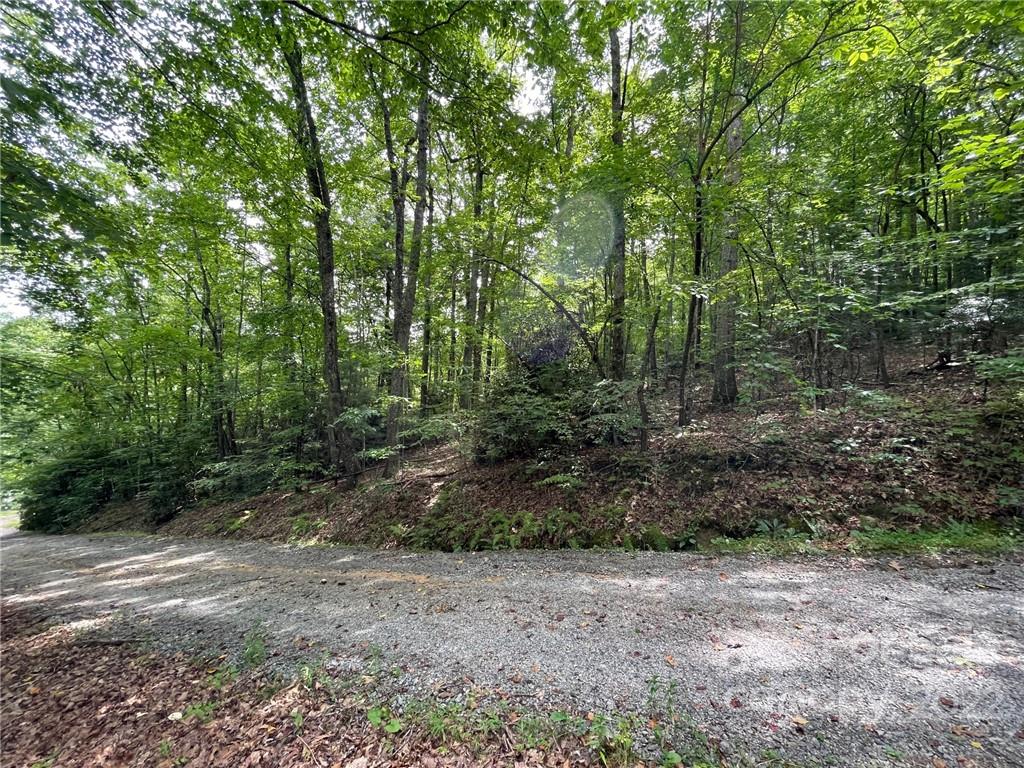Lot P Ridgemont Road, Unit P19 Hendersonville, NC 28739 - Photo 7 of 9 a view of a forest with trees in the background