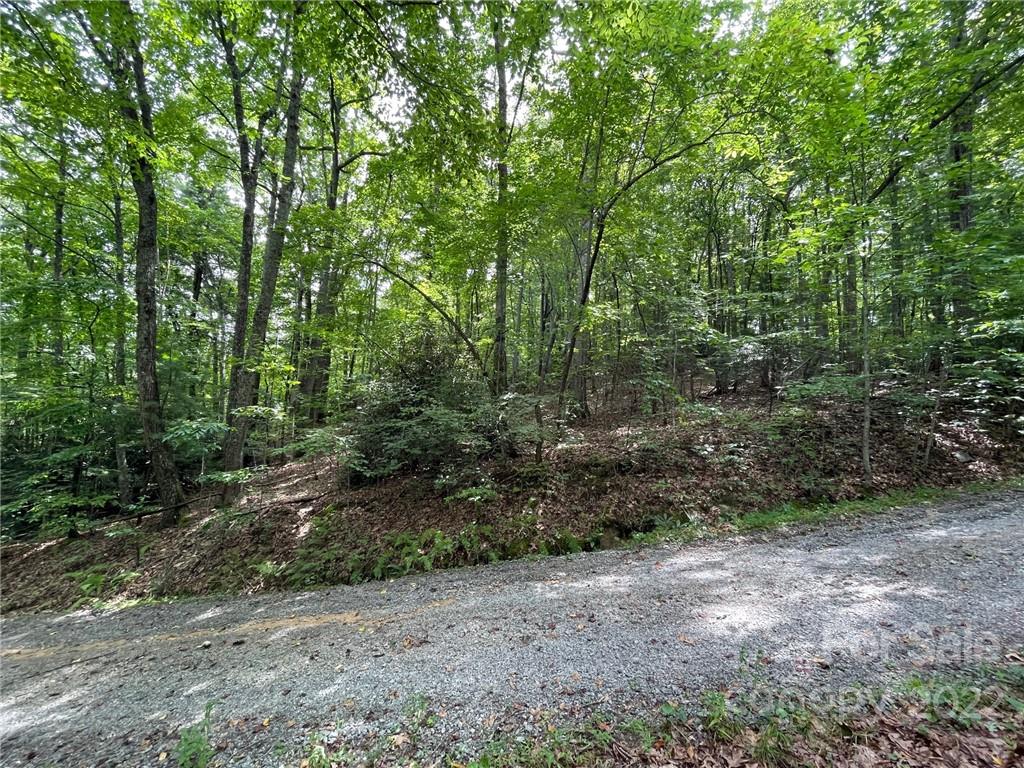 Lot P Ridgemont Road, Unit P19 Hendersonville, NC 28739 - Photo 8 of 9 a view of a forest with trees in the background