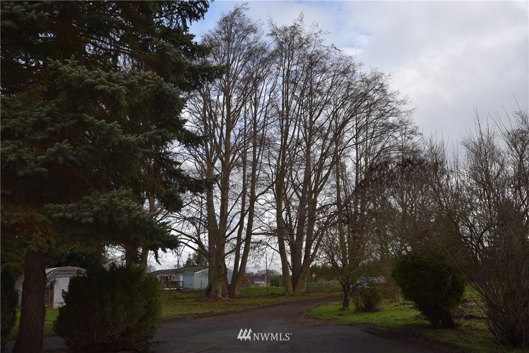403 Cays Road Sequim, WA 98382 - Photo 22 of 24
