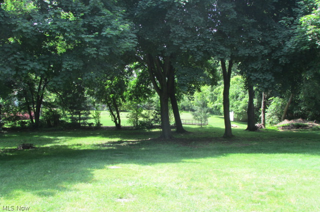 2860 Narrows Road Perry, OH 44081 - Photo 23 of 25 With room for bonfires, games and gardening this backyard will appeal to almost everyone!