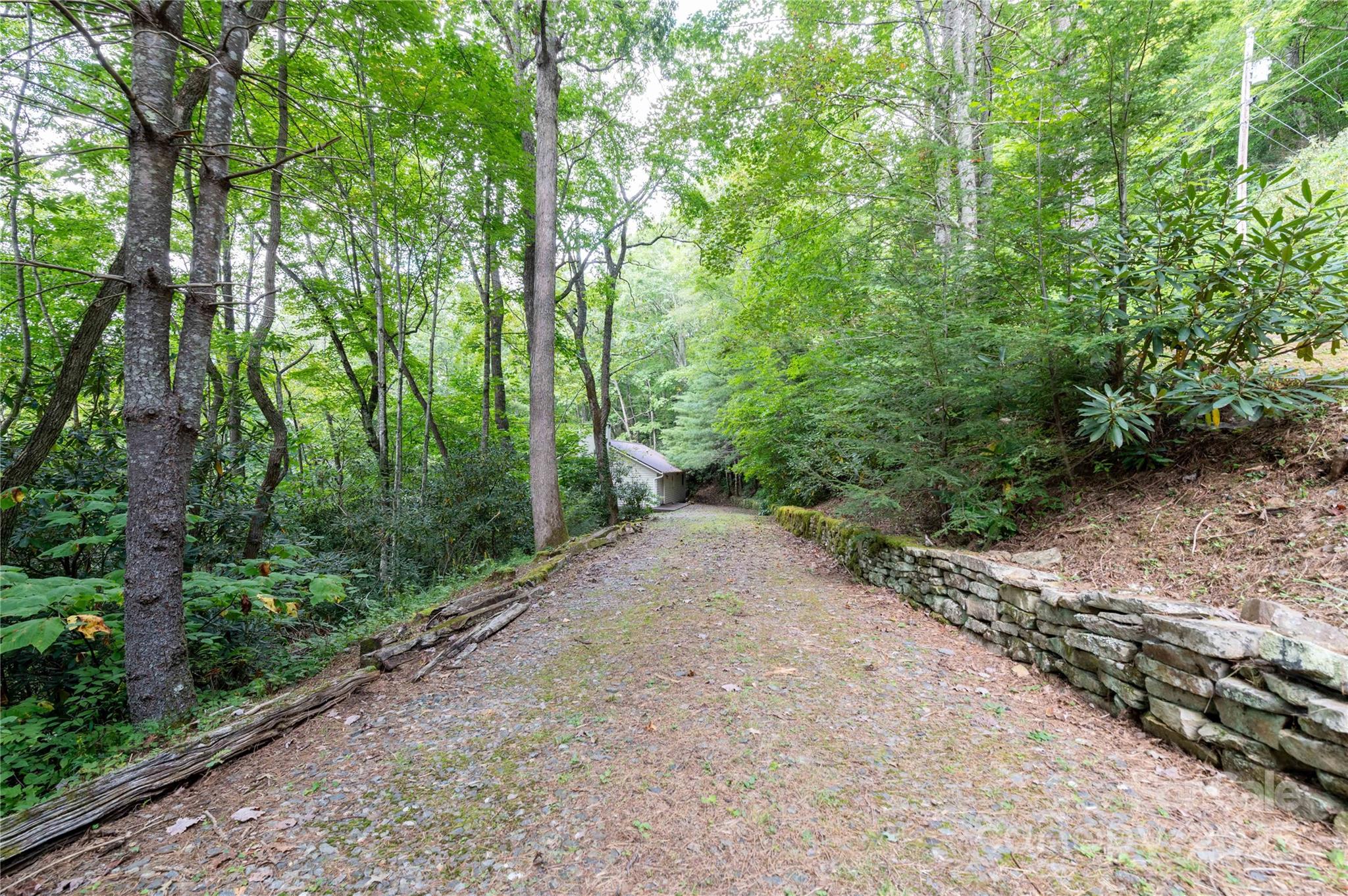 479 Big Ridge Road Burnsville, NC 28714 - Photo 2 of 40 a view of a road with trees in the background