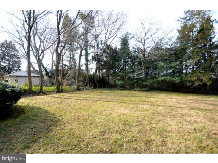 413 Vernon Road Jenkintown, PA 19046 - Photo 23 of 25 Back Yard