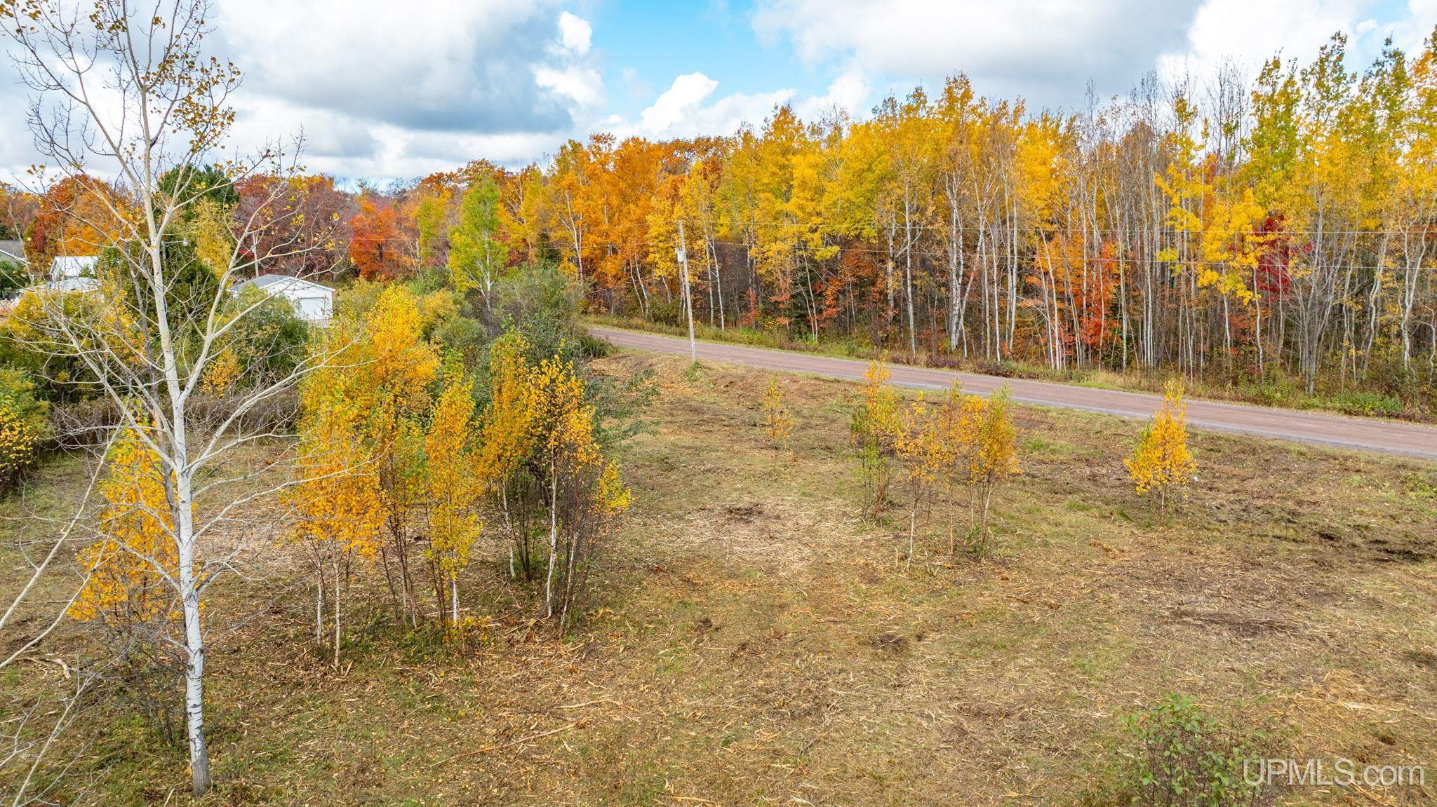 Tbd Lake Annie Cross Cut Road Hancock, MI 49930 - Photo 5 of 21