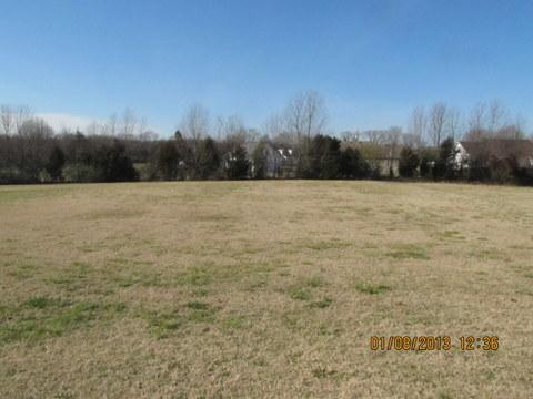 218 Johnny Ruth Court Murfreesboro, TN 37127 - Photo 4 of 13 Gallery Image 4
