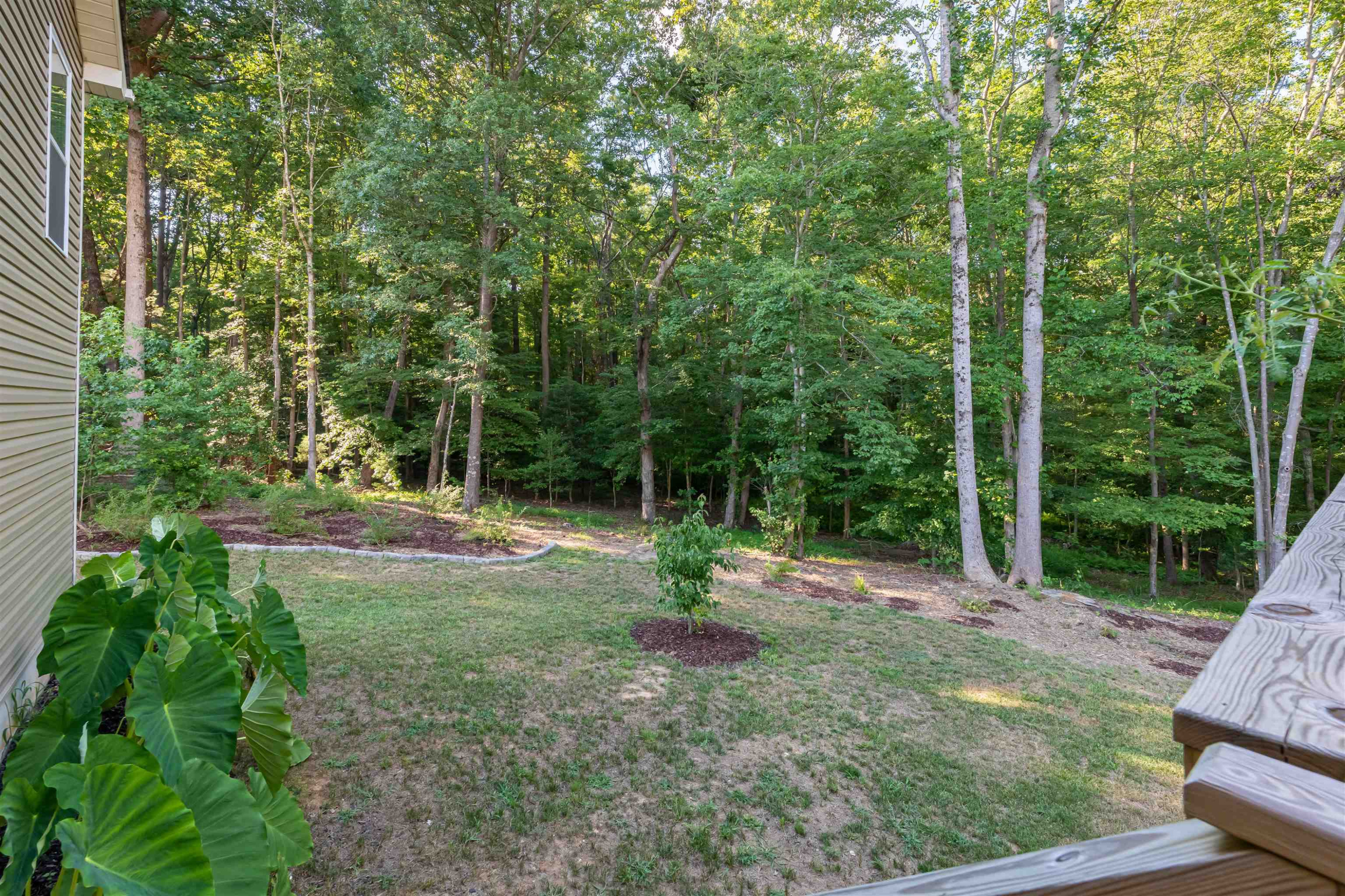 3537 Lavender Lane Wake Forest, NC 27587 - Photo 51 of 60 Photo 51