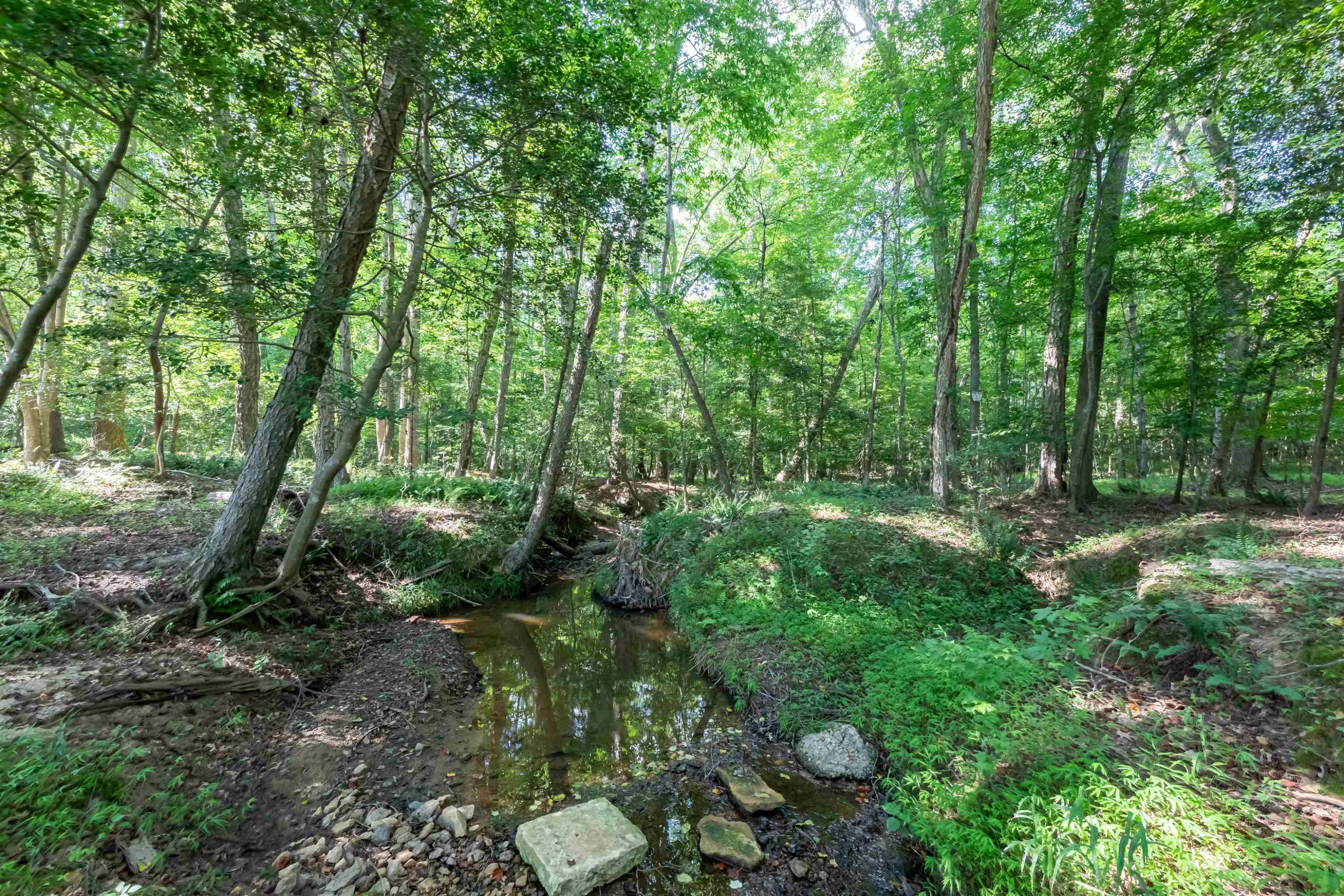 3537 Lavender Lane Wake Forest, NC 27587 - Photo 53 of 60 Photo 53