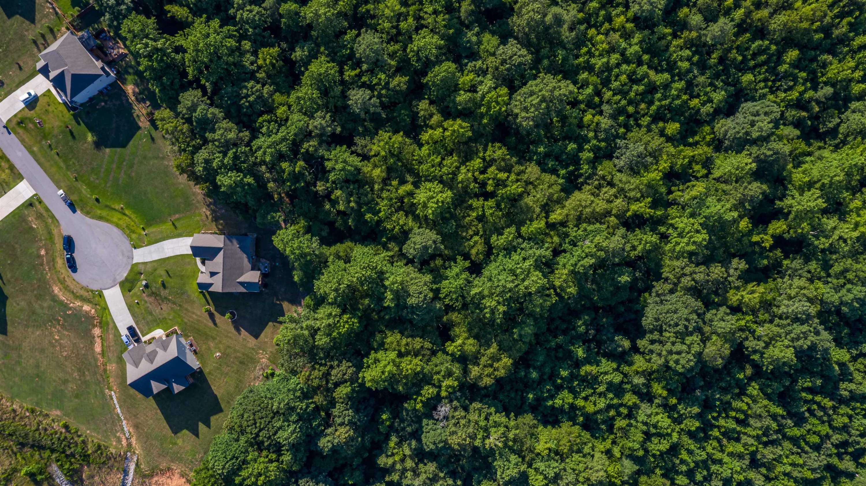 3537 Lavender Lane Wake Forest, NC 27587 - Photo 55 of 60 an aerial view of residential house with outdoor space and trees all around