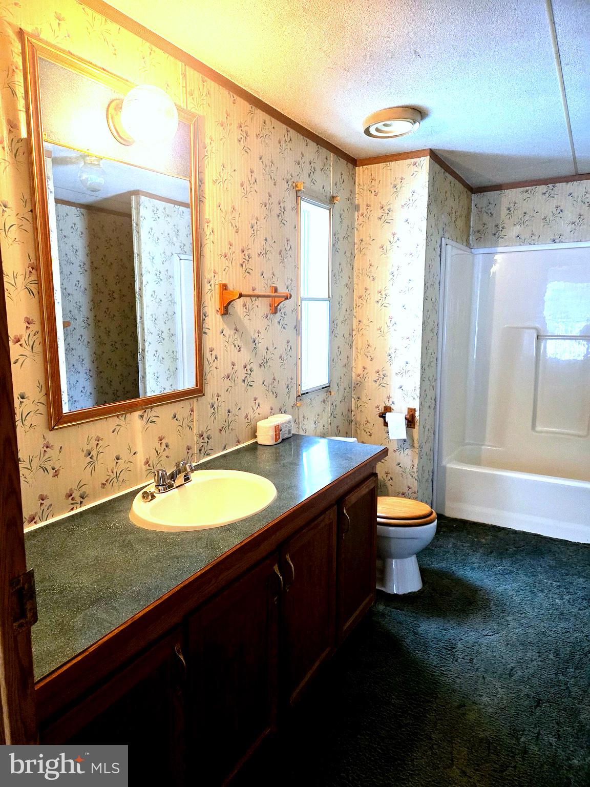 333 White Face Circle Zion Grove, PA 17985 - Photo 8 of 8 a bathroom with a granite countertop sink toilet and mirror