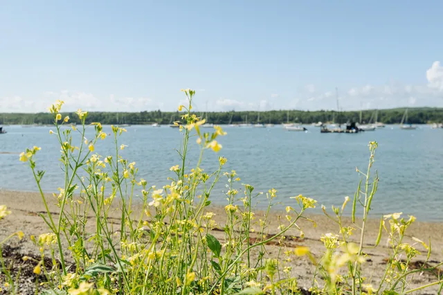 $480,000 | 62 Harbor View Drive, Unit 62, Stockton Springs, ME 04981