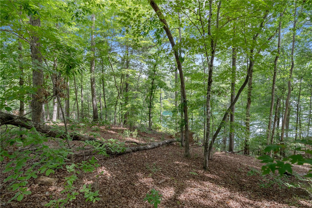 913 Rippling Water Way Salem, SC 29676 - Photo 9 of 15