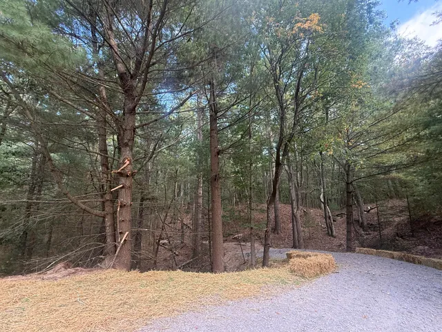 $39,000 | Vl Vl Lenox Pentwater Mi 49449, Pentwater, MI 49449