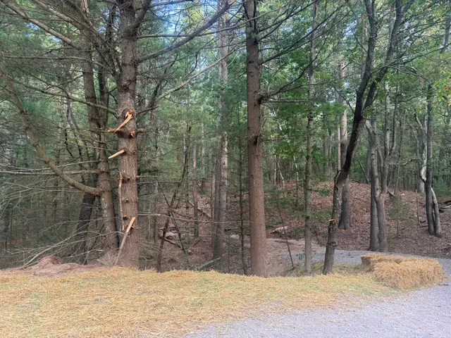 $39,000 | Vl Vl Lenox Pentwater Mi 49449, Pentwater, MI 49449