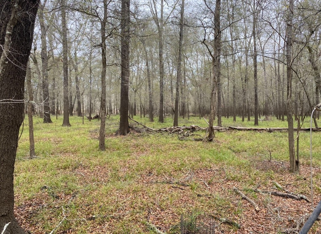 112 County Road 112 Centerville, TX 75833 - Photo 1 of 15 a backyard of a house with lots of green space