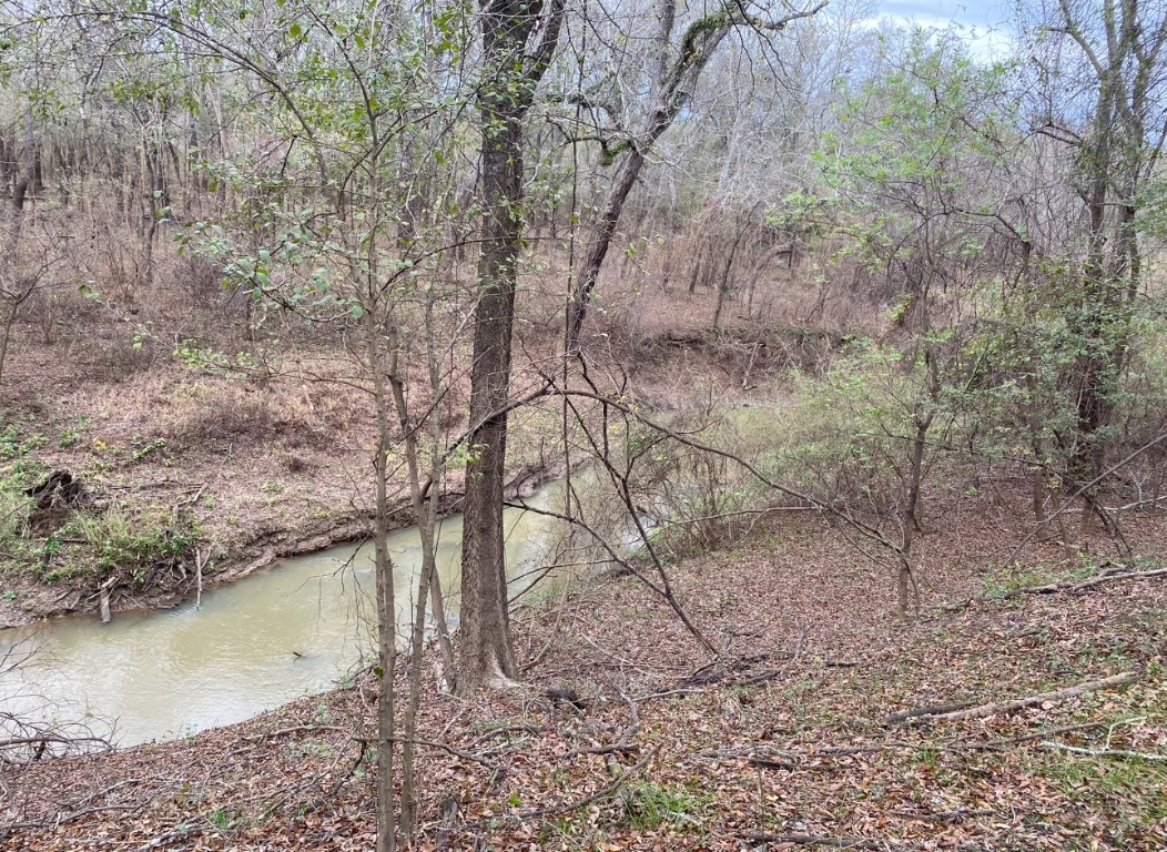 112 County Road 112 Centerville, TX 75833 - Photo 2 of 15 a view of a yard in a forest