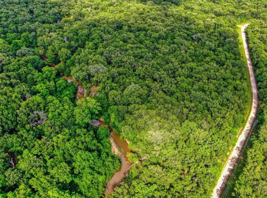 112 County Road 112 Centerville, TX 75833 - Photo 10 of 15 a view of a lush green forest