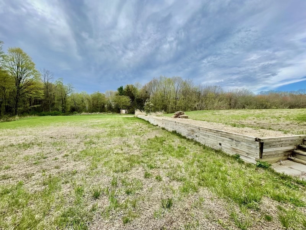 96 Cold Hill Granby, MA 01033 - Photo 30 of 42 a view of a field with an trees
