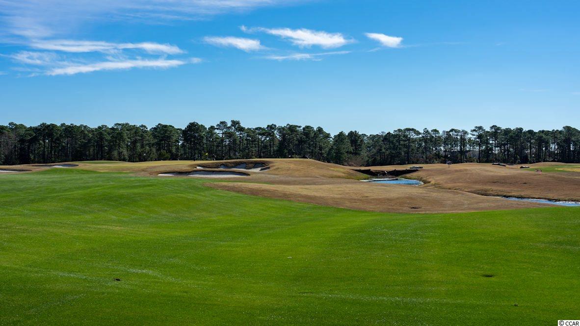 280 Legends Village Loop Myrtle Beach, SC 29579 - Photo 33 of 40 Gallery Image 33